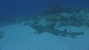 REQUINS POINTE BLANCHE