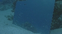 POISSONS, MIROIR