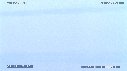 PELICANS