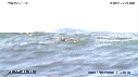PELICAN