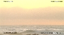 PELICANS