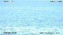 LOUTRE, OISEAU