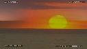PELICANS, COUCHER DE SOLEIL