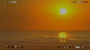 PELICANS, COUCHER DE SOLEIL