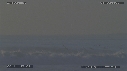 PELICANS