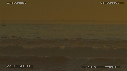 PELICANS