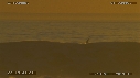 PELICANS