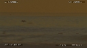 PELICANS