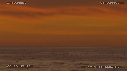 CORMORANS