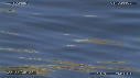 MER, REFLET