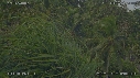 COCOTIERS