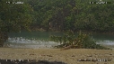 NOIX DE COCO