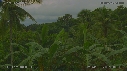 ARBRES