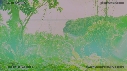 CRIQUE, ARBRES