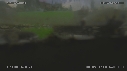 POLLUTION