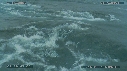 MER, OISEAUX