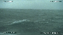 MER, OISEAUX