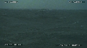 MER, OISEAUX