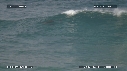 DAUPHINS TURSIOPS