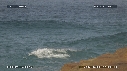 DAUPHINS TURSIOPS