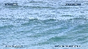 VAGUES