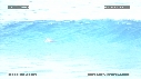 DAUPHINS TURSIOPS