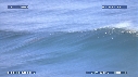 DAUPHINS TURSIOPS