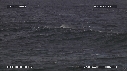 VAGUES