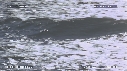 VAGUES