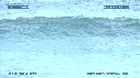 DAUPHINS TURSIOPS