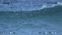 DAUPHINS TURSIOPS