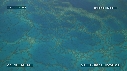 MER