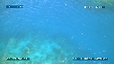 MER