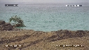 NOIX DE COCO