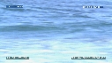 VAGUES