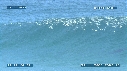 DAUPHINS TURSIOPS, VAGUE