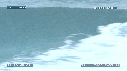 DAUPHINS TURSIOPS, VAGUE