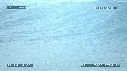 DAUPHINS TURSIOPS, VAGUE