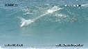 DAUPHINS TURSIOPS, VAGUE