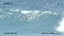 DAUPHINS TURSIOPS, VAGUE