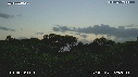 MANGROVE