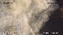 SAUMONS, CASCADE