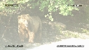 OURS