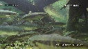SAUMONS, RIVIERE
