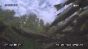 SAUMONS, CASCADE