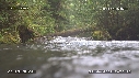 CASCADE